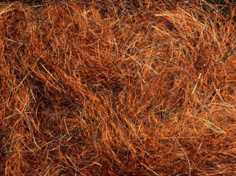 Montana Fly Company ARIZONA SIMI SEAL DUBBING