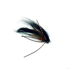 Rio RIO EXTROVERT SIZE 4