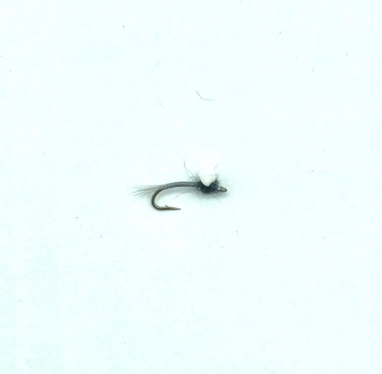 Solitude Fly Company FOAM WING EMERGER #18