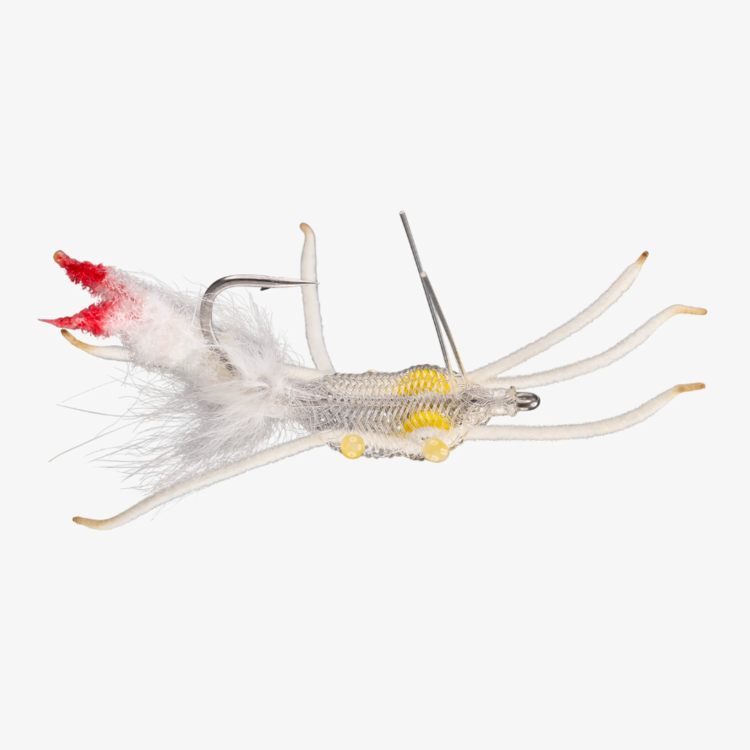 Rio RIO FIDDLER ON THE REEF SIZE 1