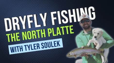 Dry Fly Fishing with Tyler Soulek 