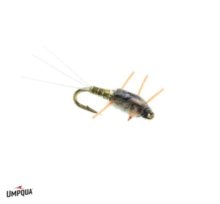 Ugly Bug Fly Shop Newman's Micro Matcher #20