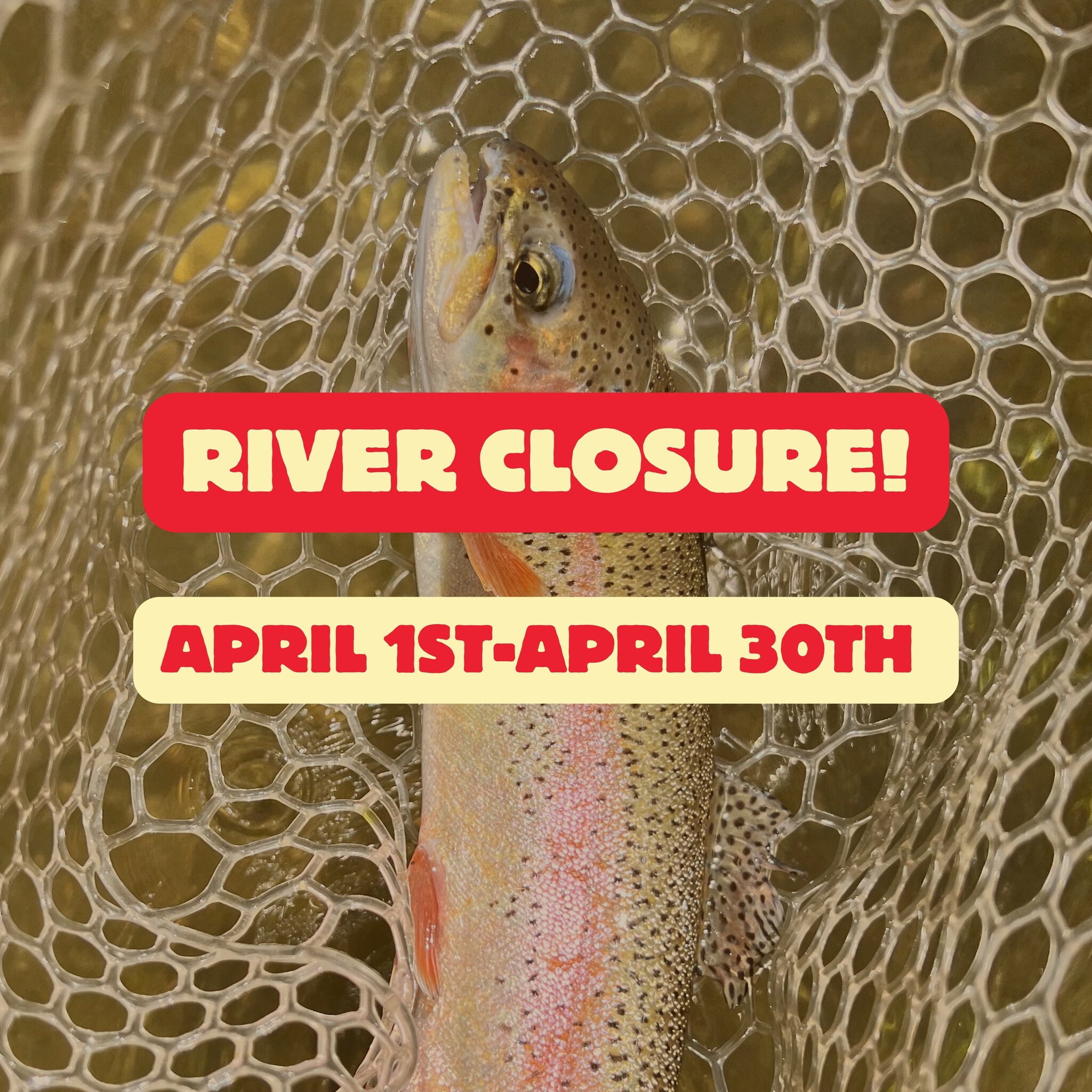 River Closure!
