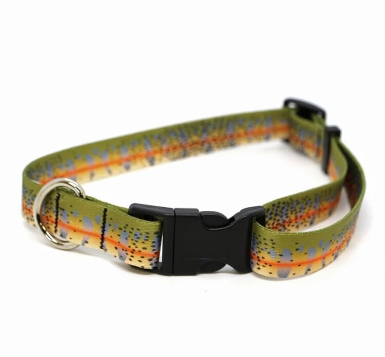Rep Your Water REP YOUR WATER DOG COLLAR