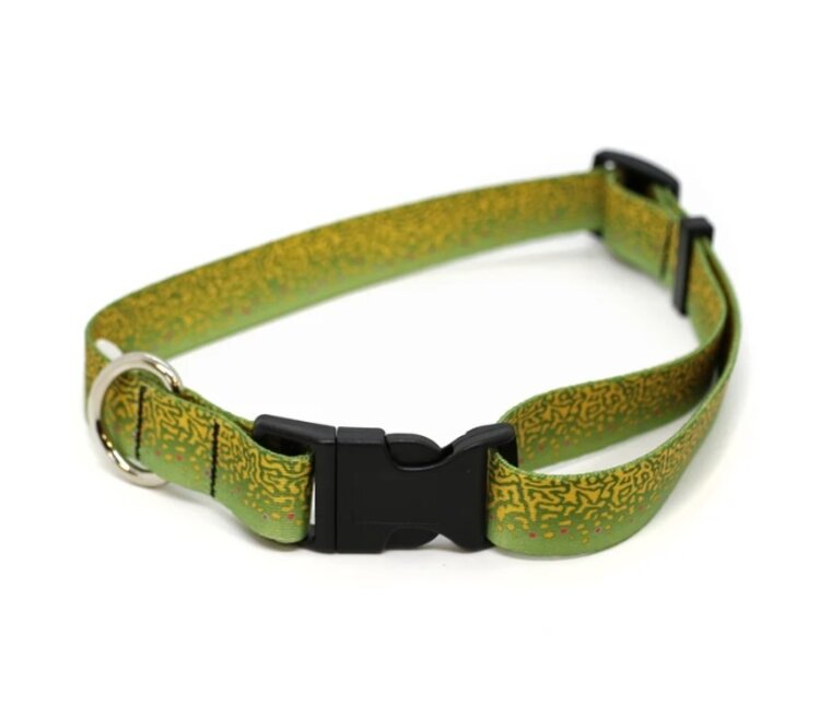 Rep Your Water REP YOUR WATER DOG COLLAR
