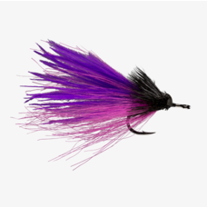 Rio RIO'S DREAD PIRATE