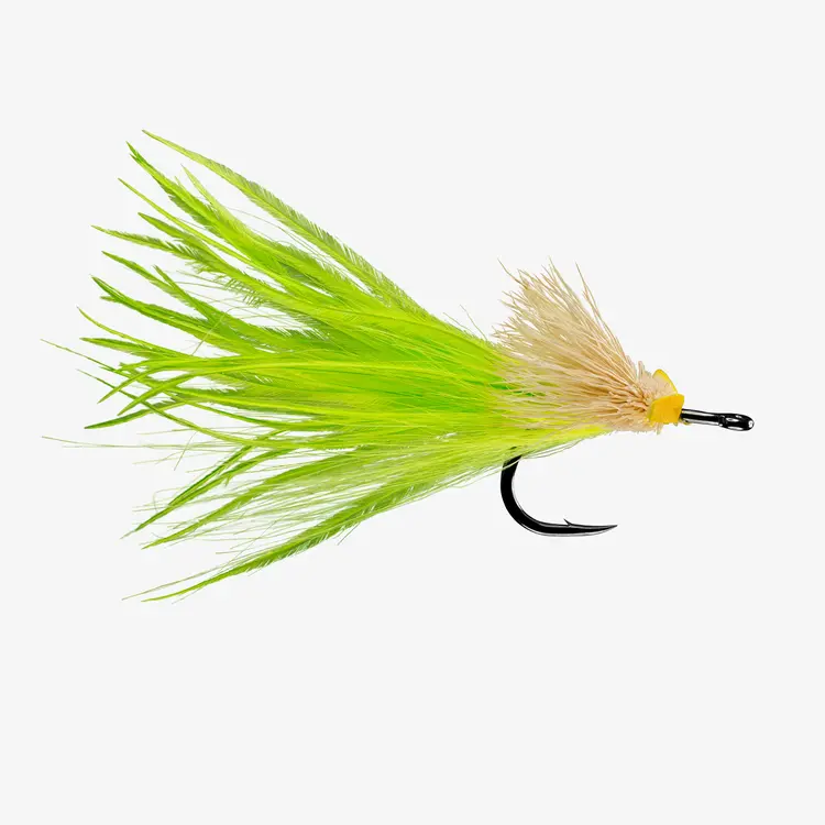 Rio RIO'S DREAD PIRATE