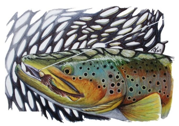 Ty Outdoors TY HALLOCK STICKERS