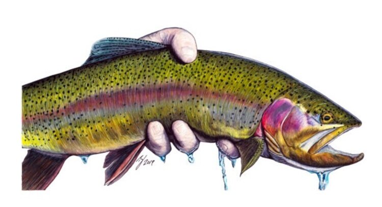 Ty Outdoors TY HALLOCK STICKERS