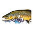 Ty Outdoors TY HALLOCK HOOD BROWN #2 13X19