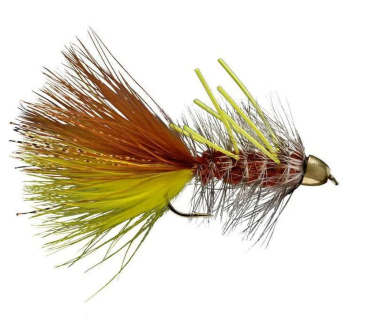 Rio CONEHEAD JJ SPECIAL