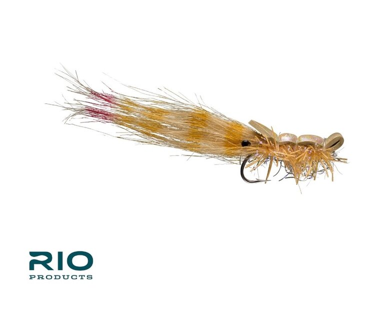 Rio RIO'S GUIDO SHRIMP size 1/0