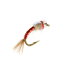 CATCH Rainbow Warrior CATCH Rainbow Warrior