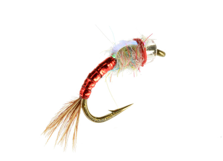 CATCH Rainbow Warrior