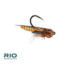 Rio RIO'S PUPARAZZI size 16