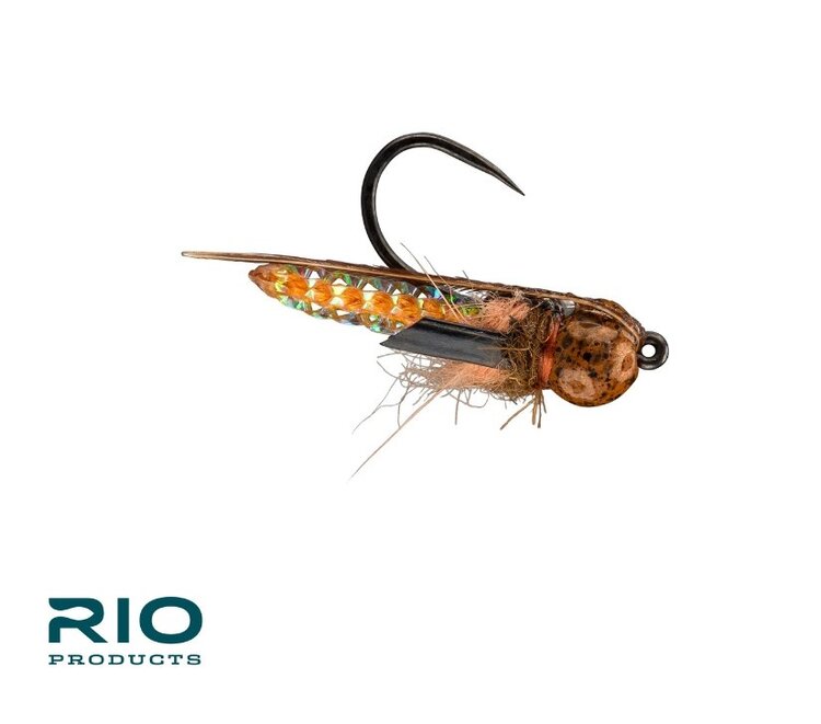 Rio RIO'S PUPARAZZI size 16