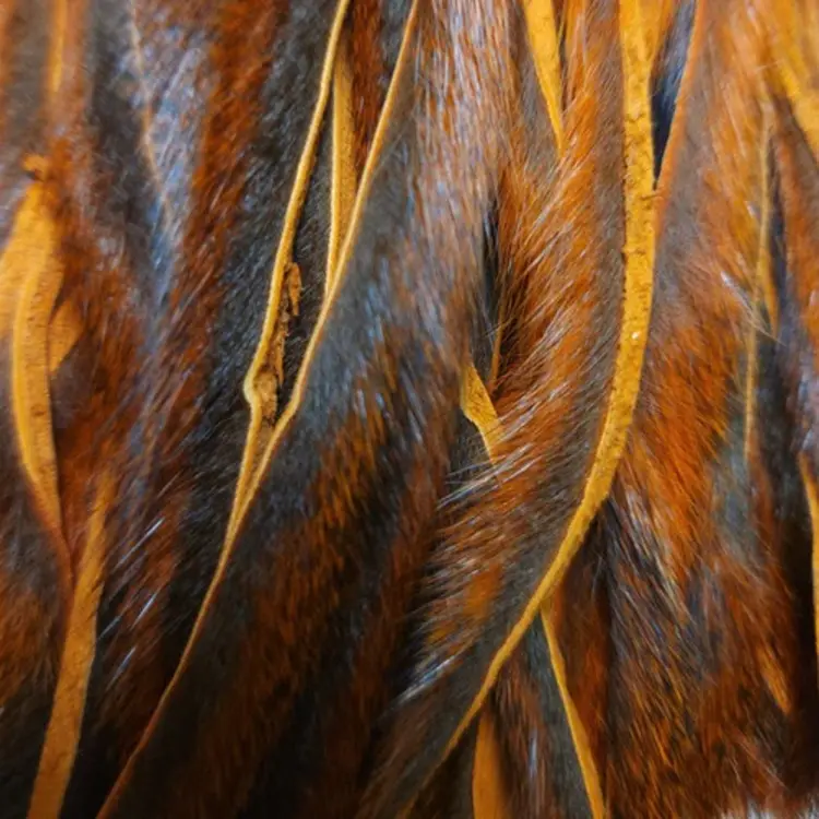 Wapsi WAPSI PINE SQUIRREL SKIN ZONKED