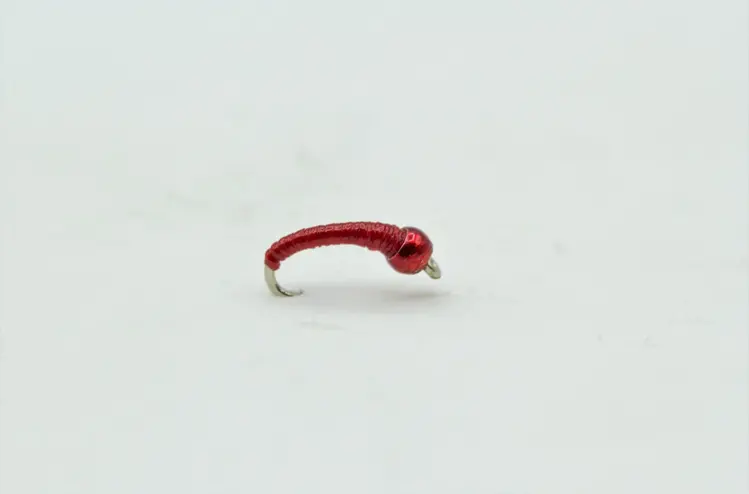 CATCH Shanafelt Lucent Bead Larva size 20