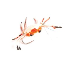 FULLING MILL TRIGGER CRAB SIZE 6