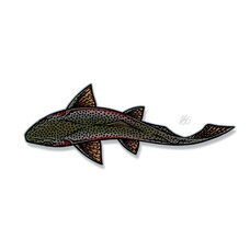 CASEY UNDERWOOD SWIM RAINBOW DECAL BY CASEY UNDERWOOD