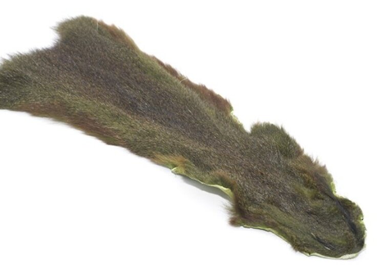 Wapsi PINE SQUIRREL SKIN