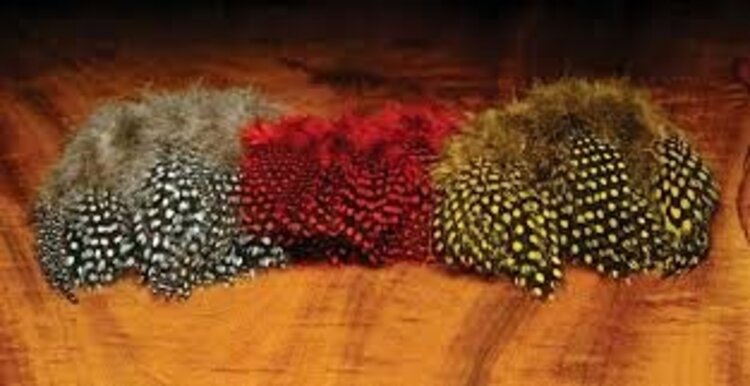 Hareline Dubbin HARELINE STRUNG GUINEA FEATHERS