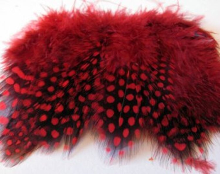 Hareline Dubbin HARELINE STRUNG GUINEA FEATHERS