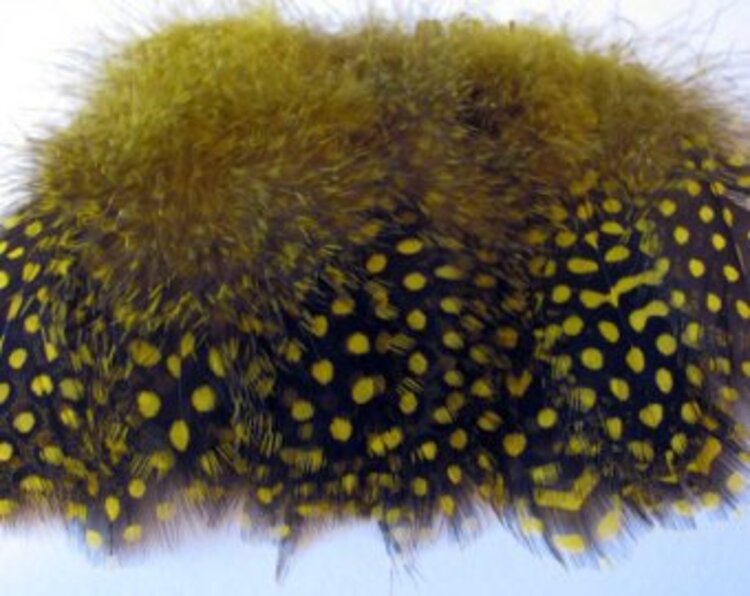 Hareline Dubbin HARELINE STRUNG GUINEA FEATHERS