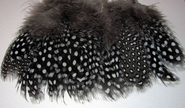 Hareline Dubbin HARELINE STRUNG GUINEA FEATHERS