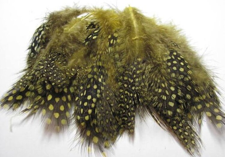 Hareline Dubbin HARELINE STRUNG GUINEA FEATHERS