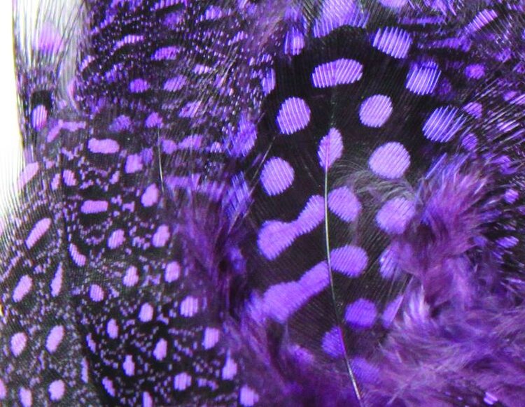 Hareline Dubbin HARELINE STRUNG GUINEA FEATHERS