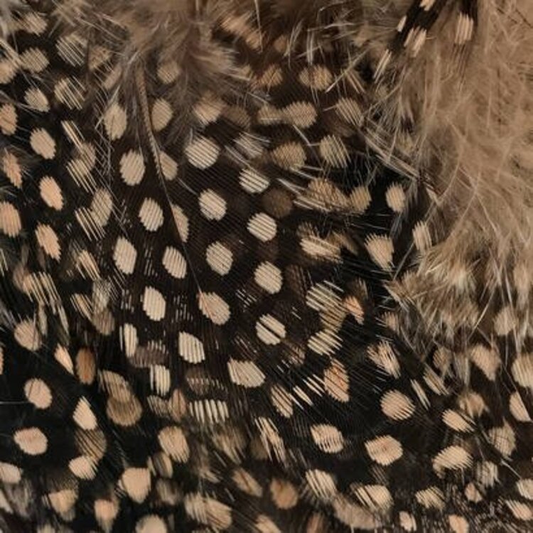 Hareline Dubbin HARELINE STRUNG GUINEA FEATHERS