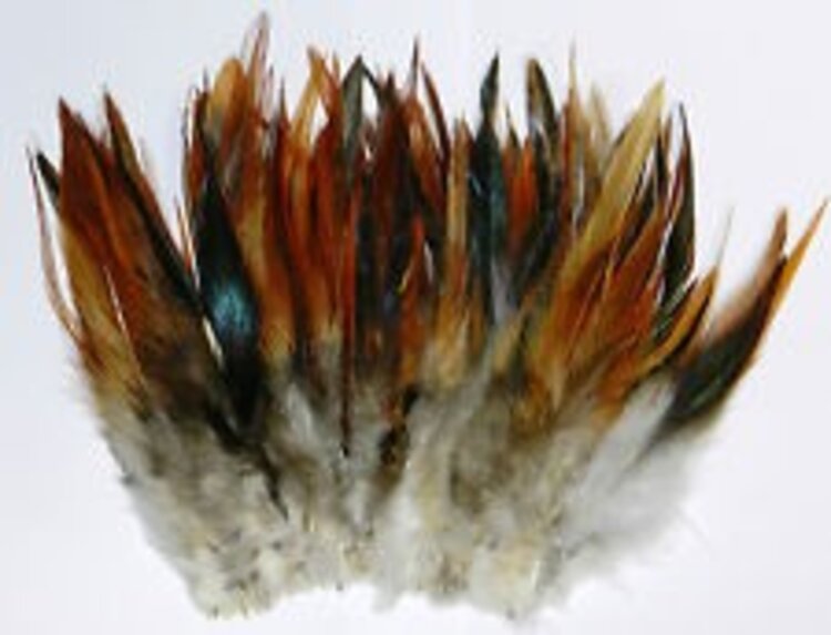 Wapsi WAPSI STRUNG ROOSTER SADDLES LONG