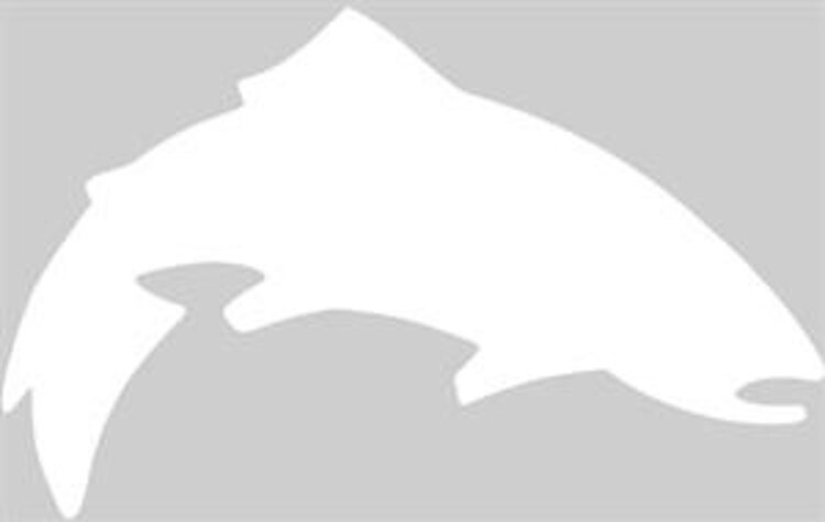 Simms Fishing Products TROUT ICON STICKER LARGE