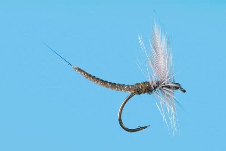 Solitude Fly Company BWO EXT Dun #20