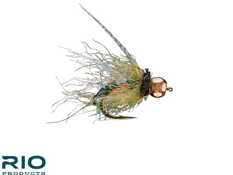 Rio Rio's hogan short shank caddis size 16