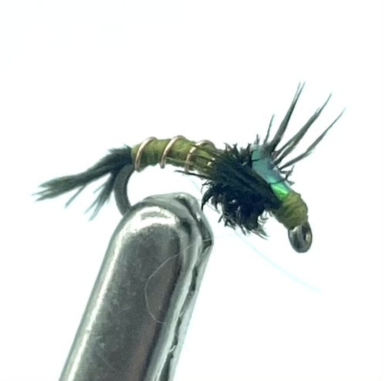 Ugly Bug Fly Shop FLASHBACK QUILL NYMPH OLIVE #20