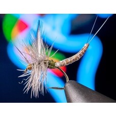 Solitude Fly Company PARA EXT. BODY BWO