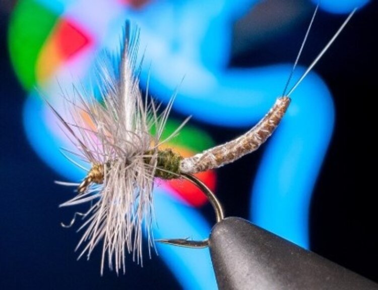 Solitude Fly Company PARA EXT. BODY BWO