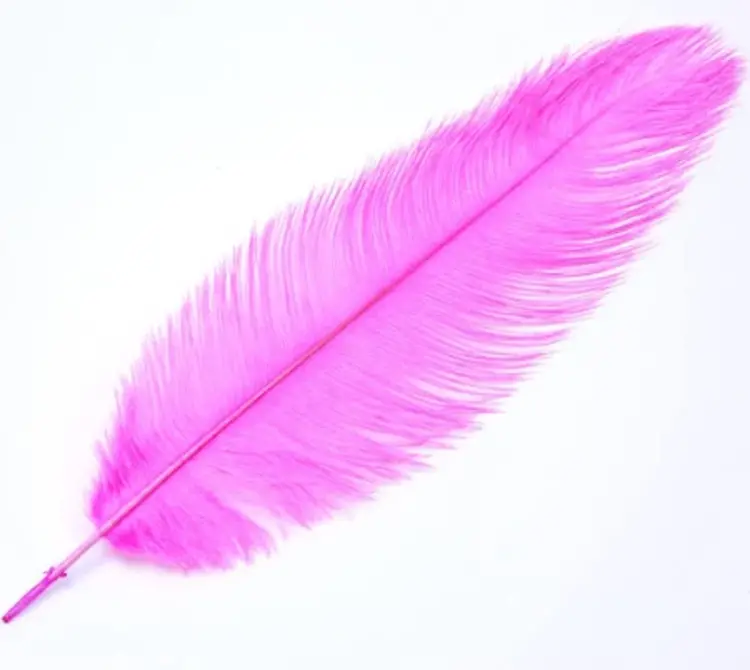 Montana Fly Company MFC OSTRICH PLUMS