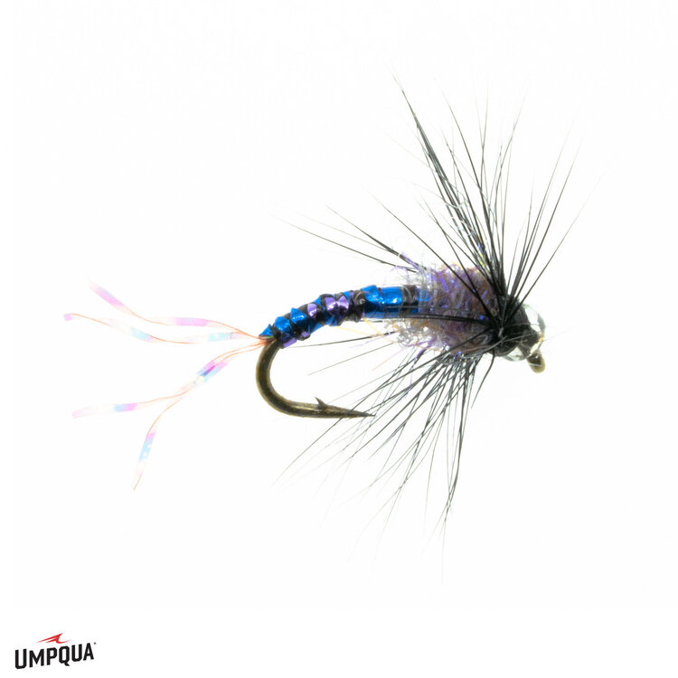 Montana Fly Company PURPLE HAZE EMERGER