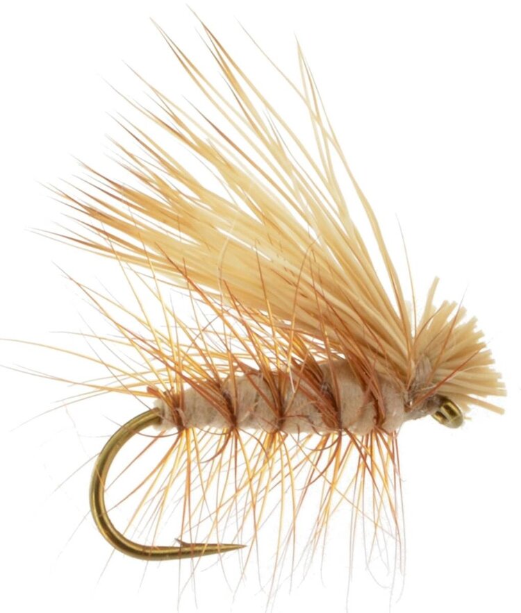 Ugly Bug Fly Shop Elk Hair Caddis Foam Body