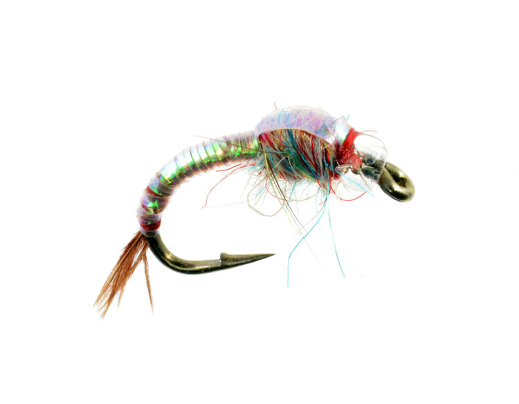 CATCH Rainbow Warrior