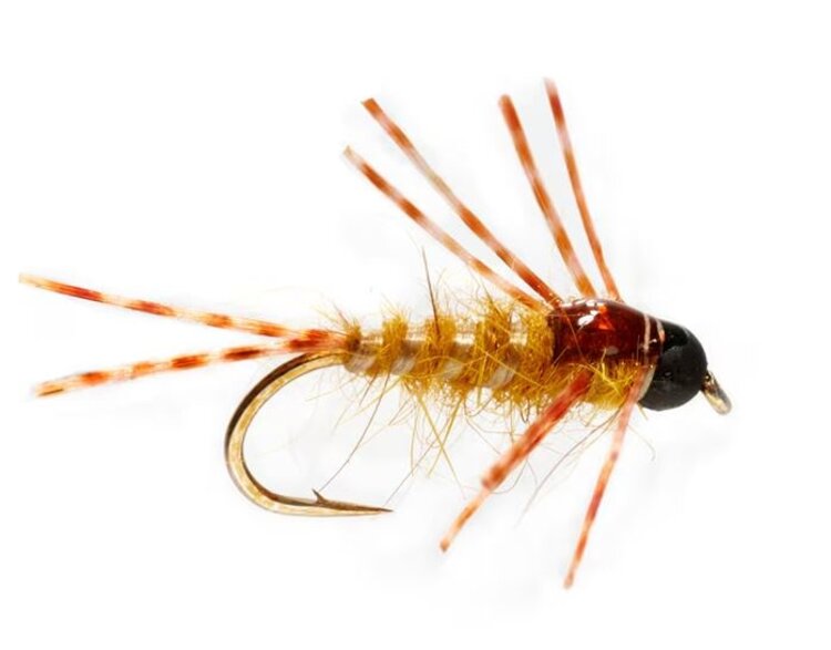 FULLING MILL Boroff's Crazy Leg Stone Golden