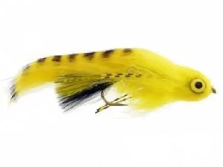 CATCH Mallard's Mellow Yellow #4= PER 3