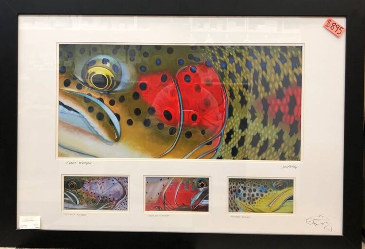 DEREK DEYOUNG DEYOUNG "CRAZY RAINBOW" FRAMED