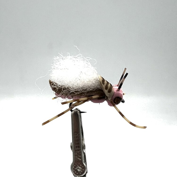 Ugly Bug Fly Shop Donkey Kong Hopper