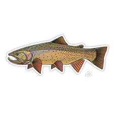 CASEY UNDERWOOD Snake River Cutty Decal by Casey Underwood