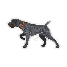 CASEY UNDERWOOD GERMAN WIREHAIRED POINTER STICKER