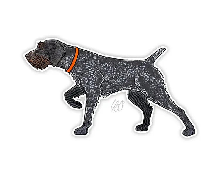 CASEY UNDERWOOD GERMAN WIREHAIRED POINTER STICKER